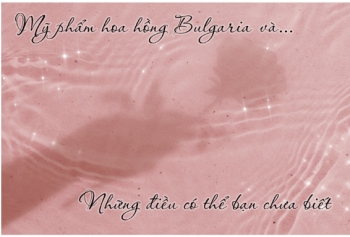 https://rosabeauty.vn/my-pham-hoa-hong-bulgaria-va-nhung-dieu-co-the-ban-chua-biet.html